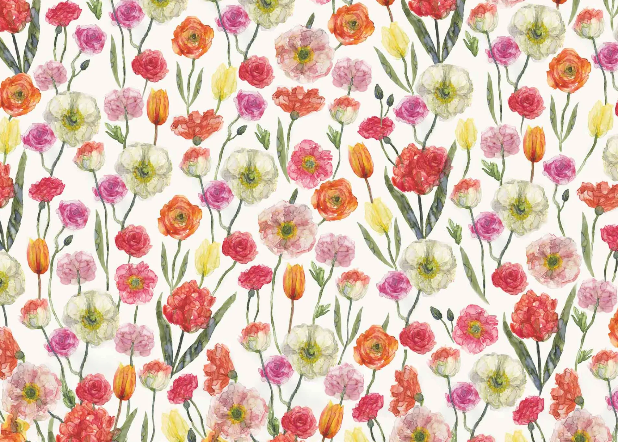 Gift Wrap|Birthday*Whistlefish Tulips Wrapping Paper