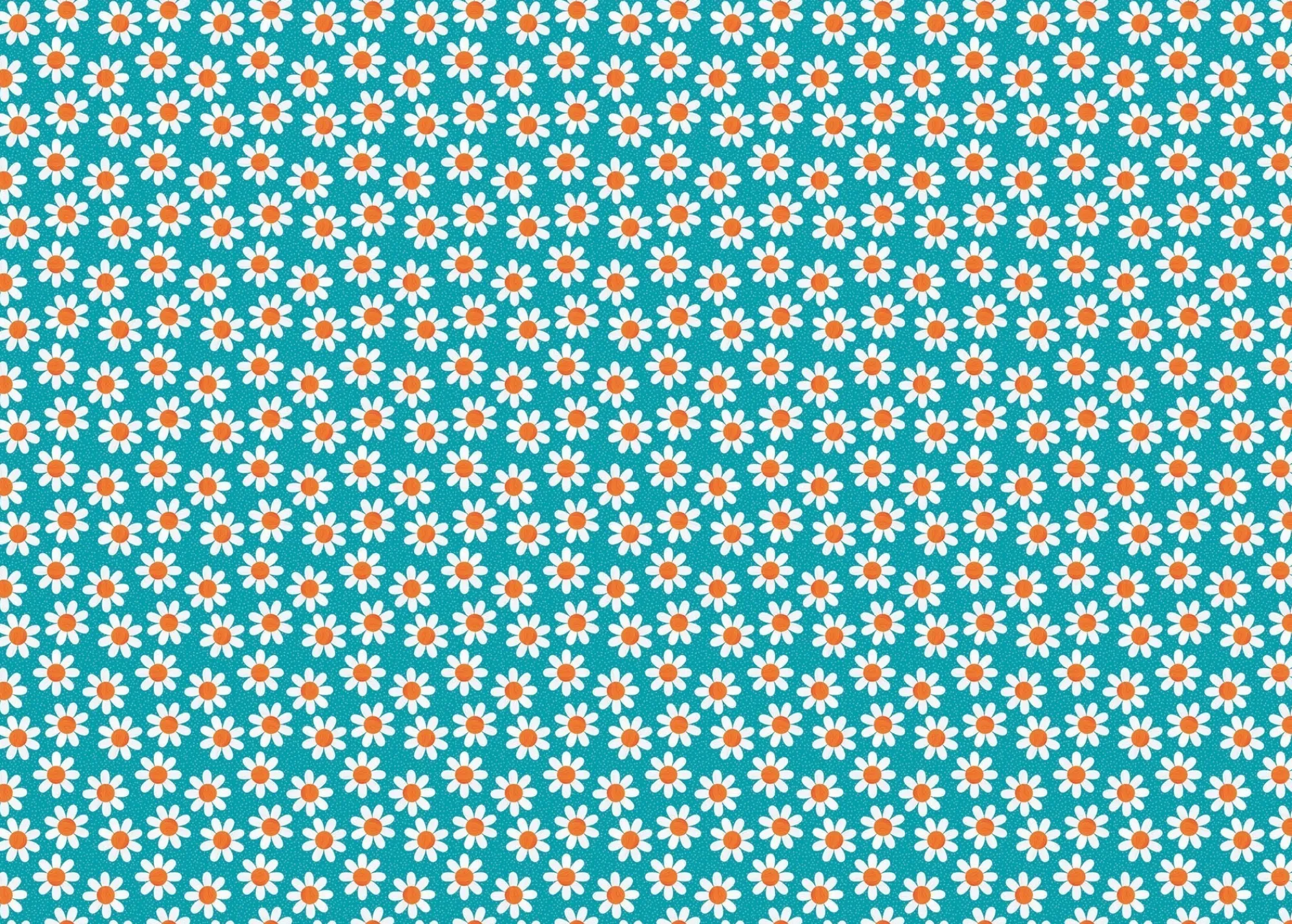 Gift Wrap|Birthday*Whistlefish Turquoise Daisy Wrapping Paper