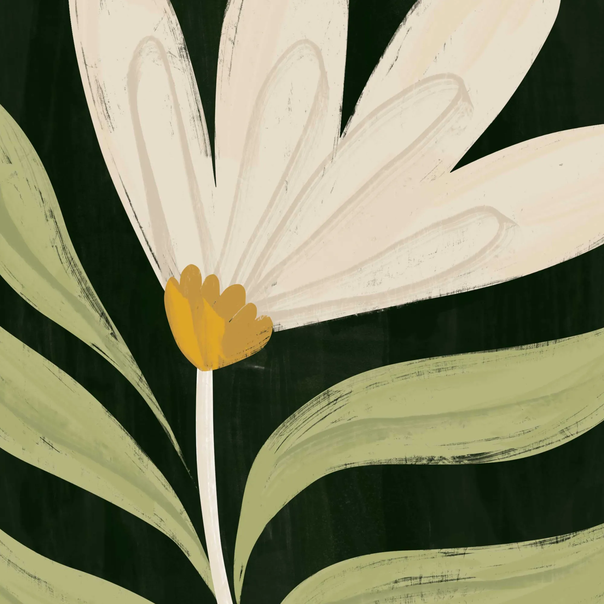 Unframed Prints*Whistlefish Verdant Daisy Art Print