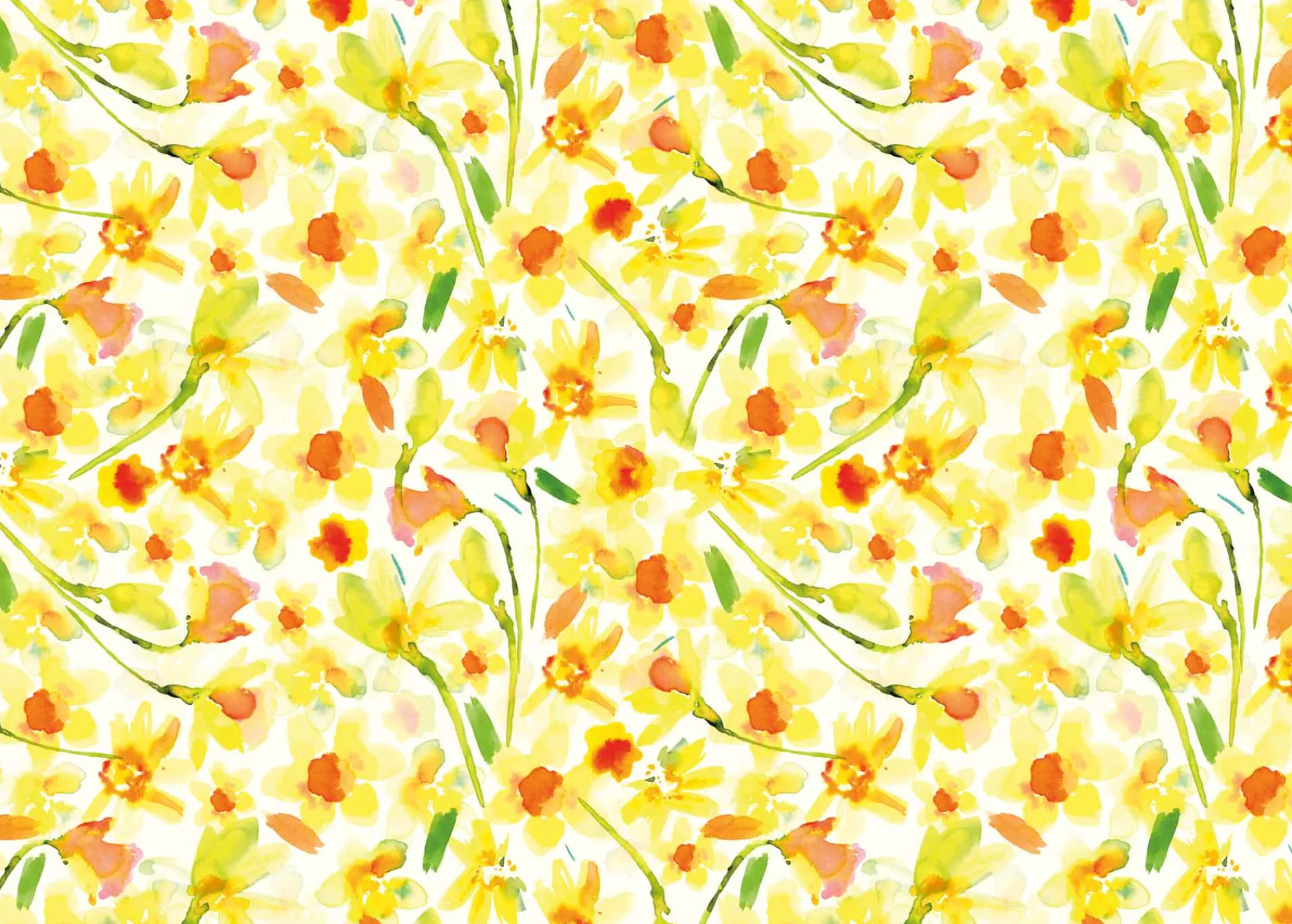 Gift Wrap|Birthday*Whistlefish Watercolour Daffodils Wrapping Paper