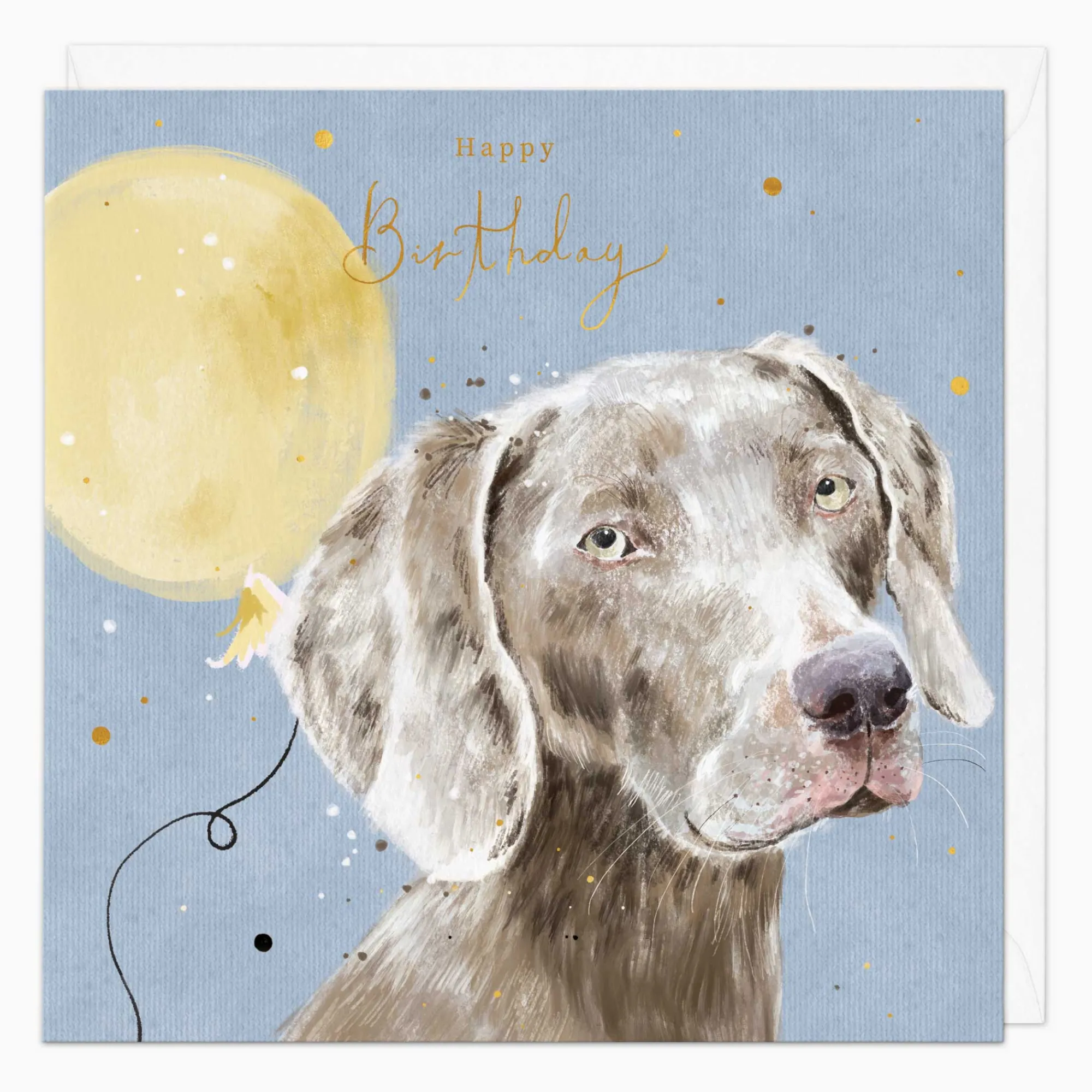 Birthday|For Her*Whistlefish Weirmeraner Birthday Card