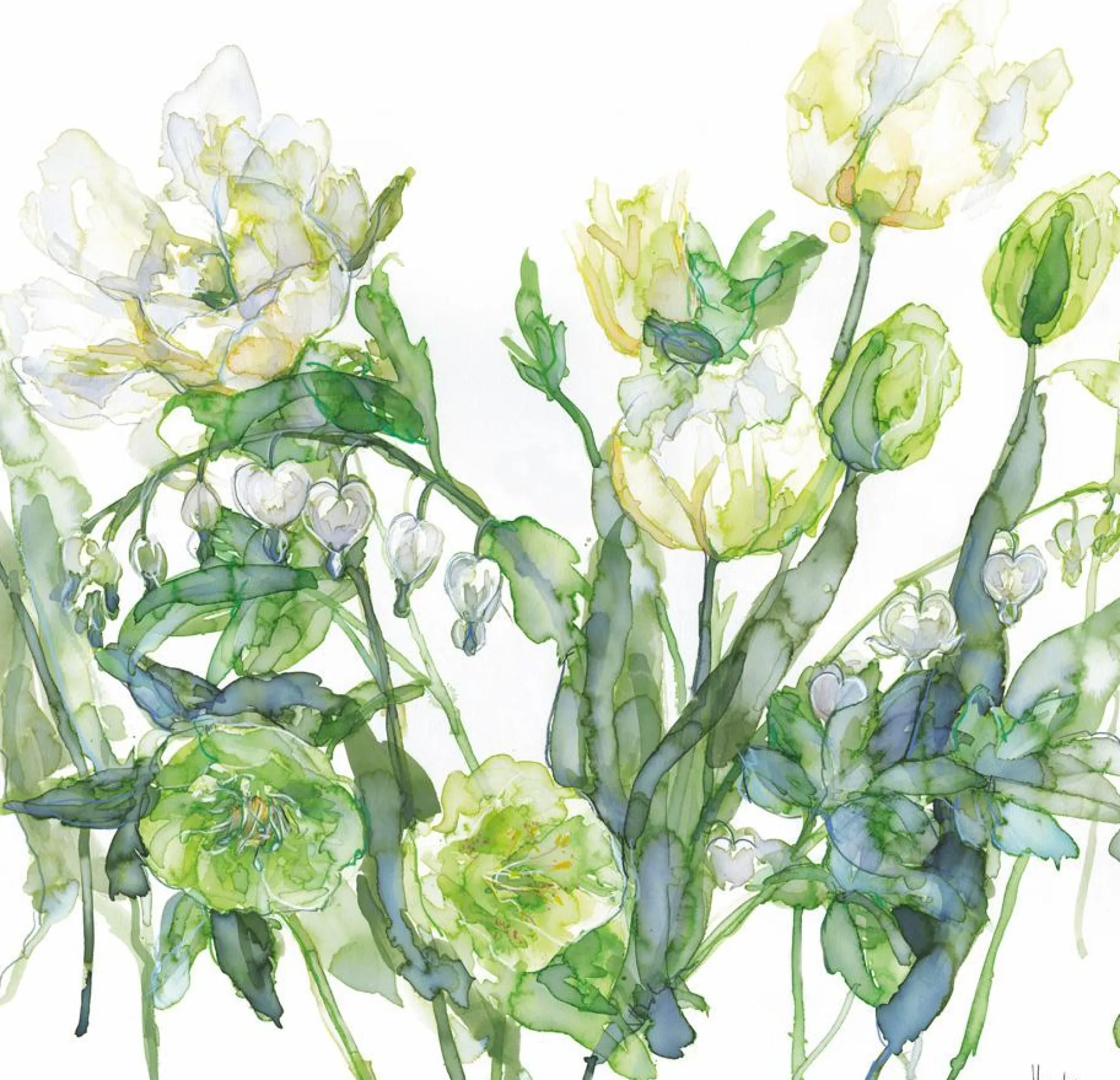 Unframed Prints*Whistlefish White & Green Tulips Art Print