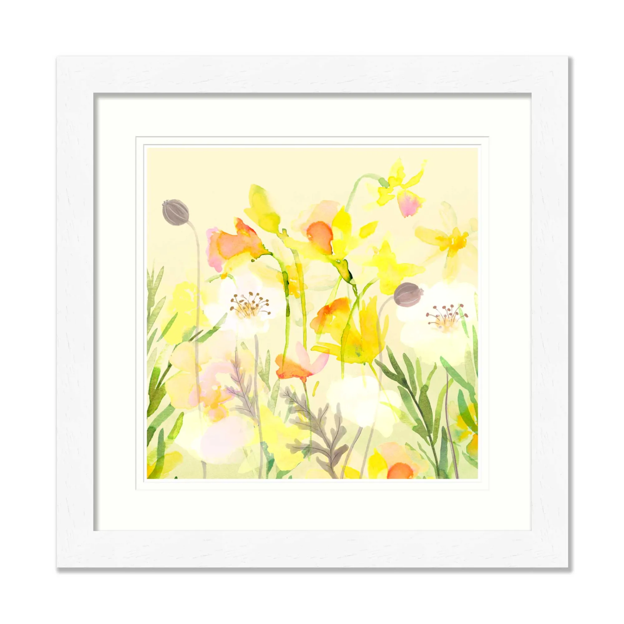 Floral & Flowers|Framed Prints*Whistlefish White Poppy Med Framed Print