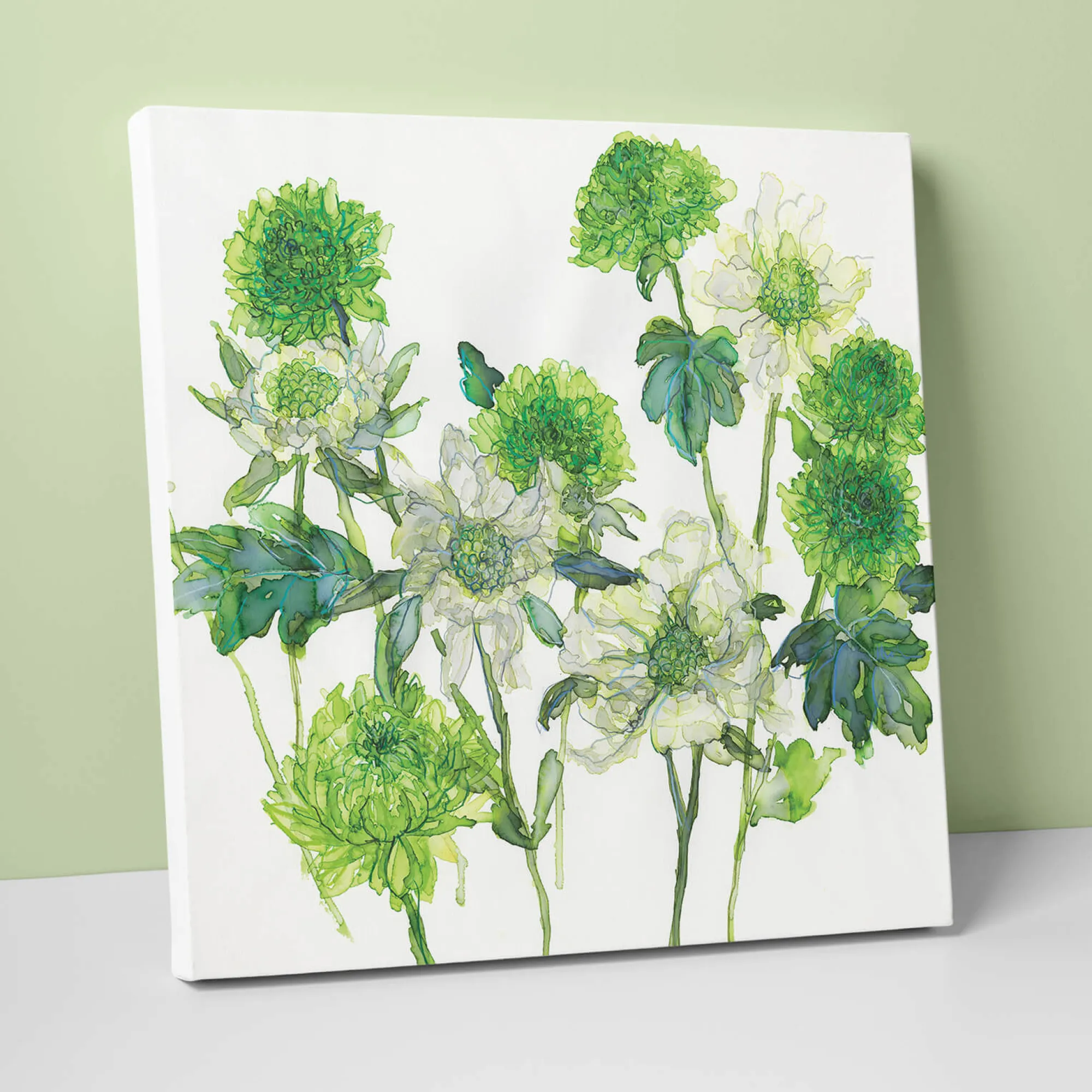 Floral & Flowers|Canvas*Whistlefish White Scabious Canvas