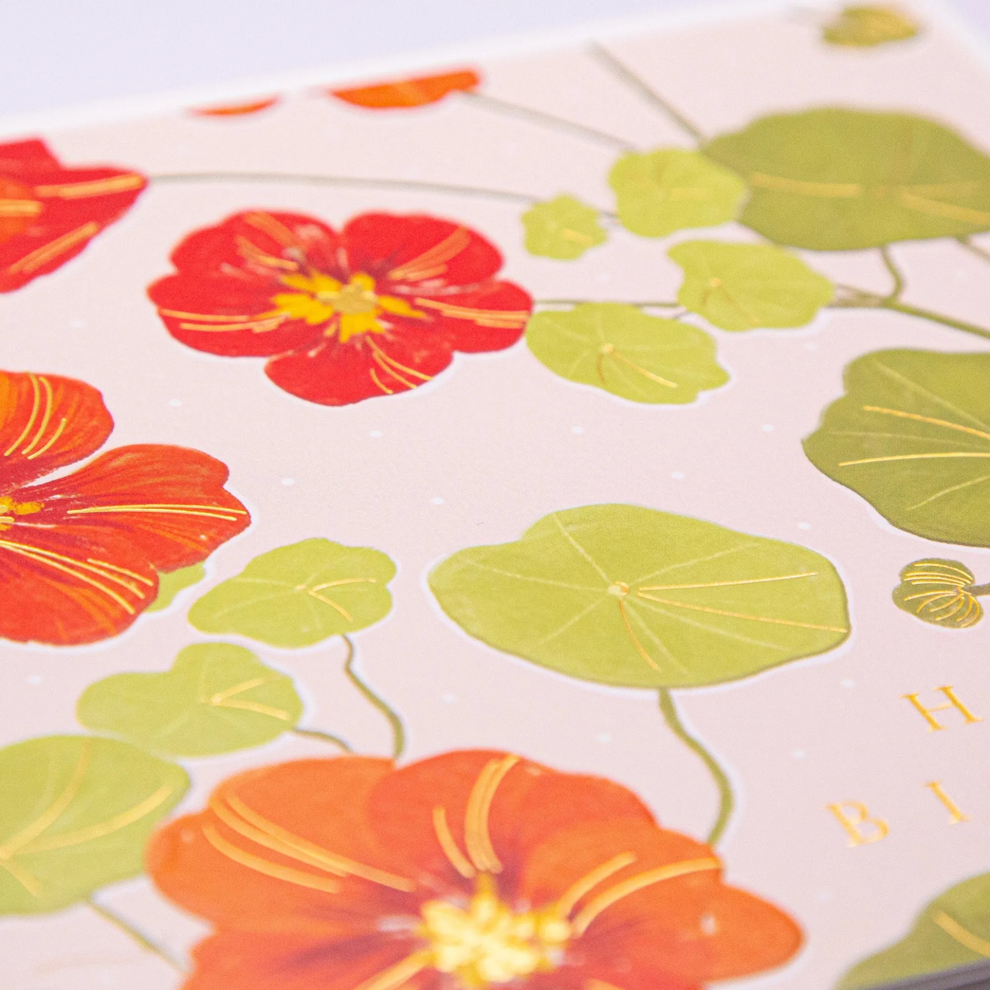 Birthday|For Her*Whistlefish Wild Nasturtium Birthday Card