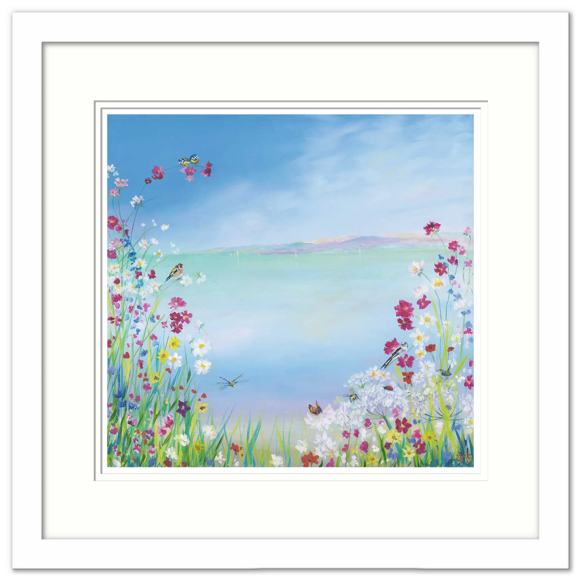 Cornwall|Coastal Scenes*Whistlefish Wild Side Of Life Small Framed Print