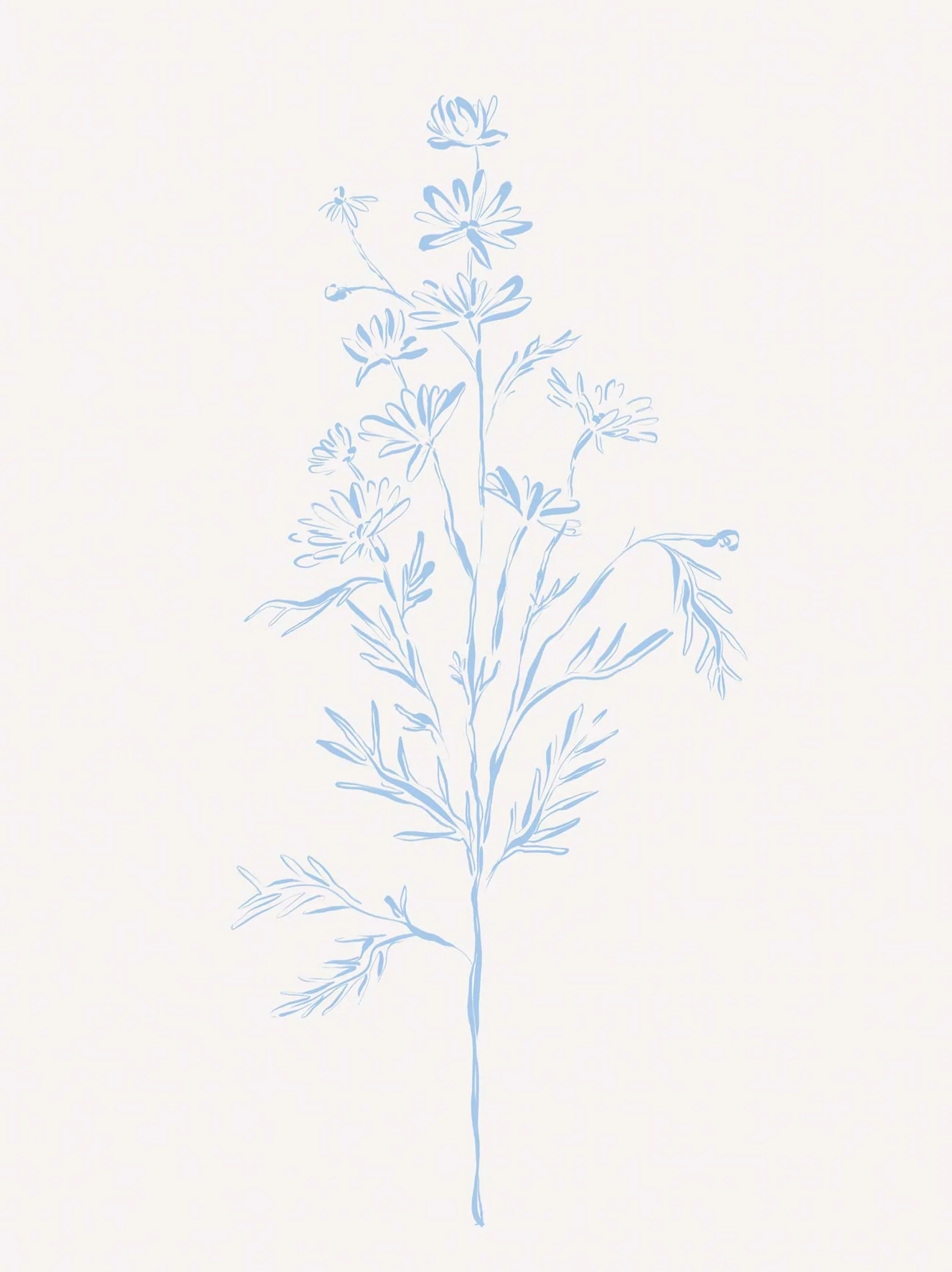 Floral & Flowers|Framed Prints*Whistlefish Wildflower Stem Framed Print