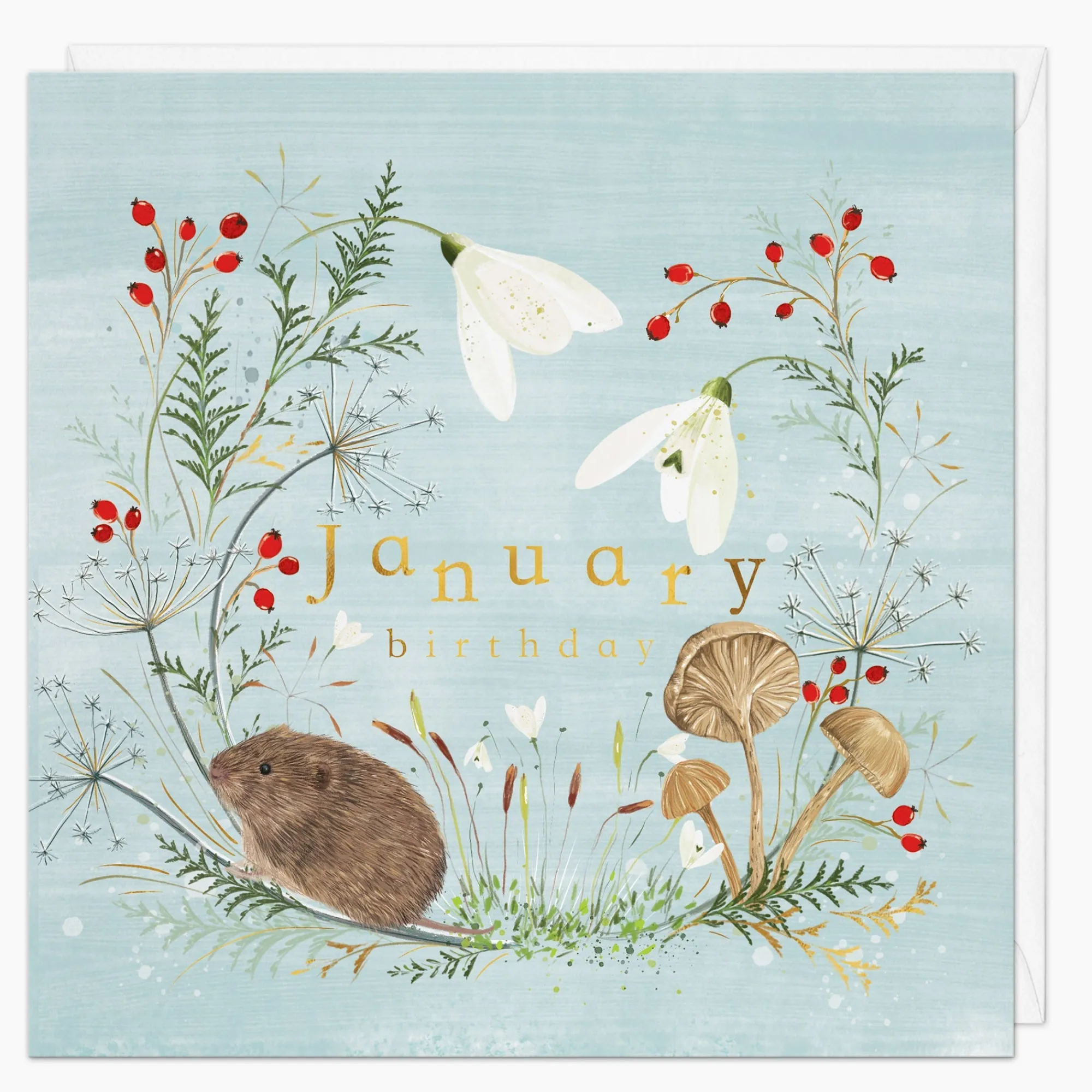Birthday|By Month*Whistlefish Woodland Wildlife January Birthday Card